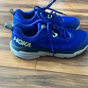 Hoka shoes